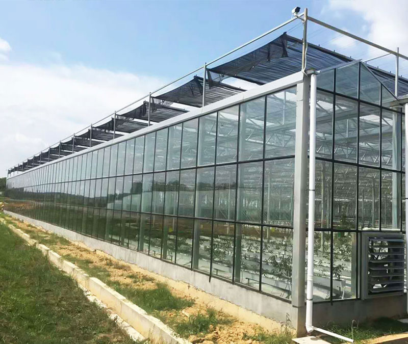 玻璃溫室中補(bǔ)光時(shí)要注意哪些事項(xiàng)